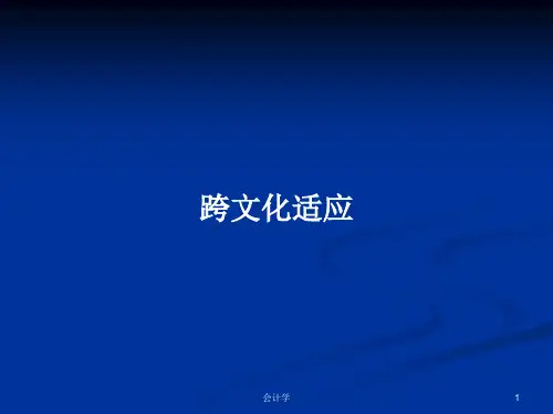 跨文化适应PPT学习教案