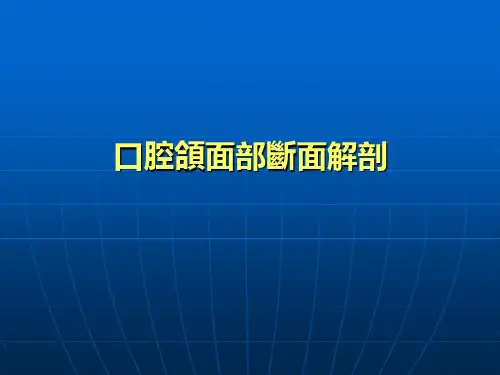 口腔颌面部断面解剖 PPT-