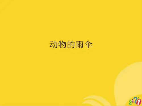 动物的雨伞标准文档ppt