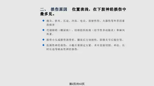 腓总神经损伤的康复课件