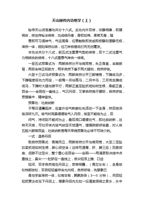 天山秘传内功绝学（上）