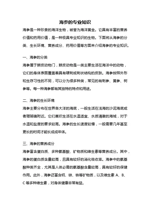 海参的专业知识