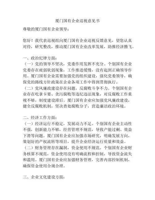 厦门国有企业巡视意见书