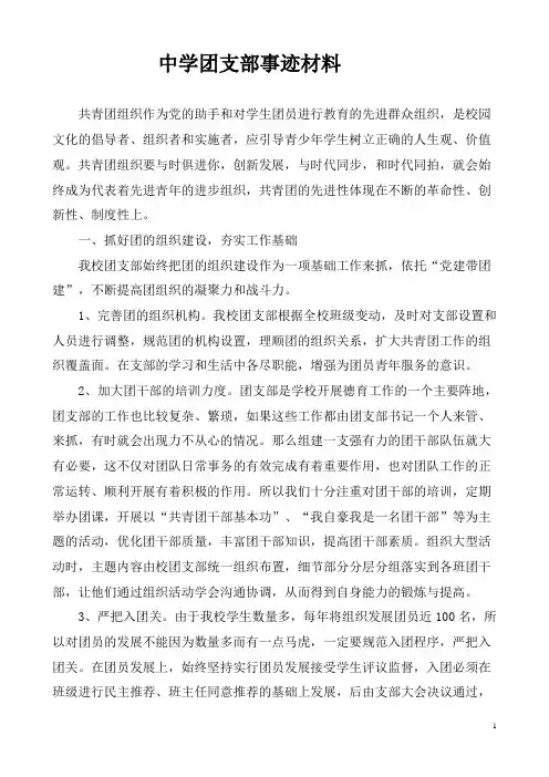 中学团支部事迹材料