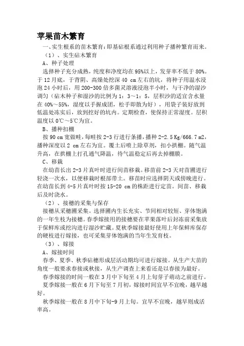 苹果苗木繁育