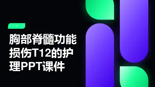 胸部脊髓功能损伤T12的护理PPT课件