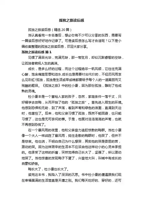 孤独之旅读后感