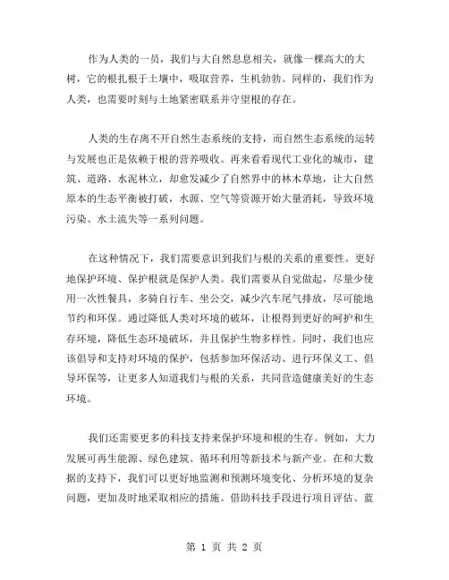 与根的守望作文范文