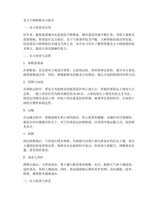 北方大树移植实习报告