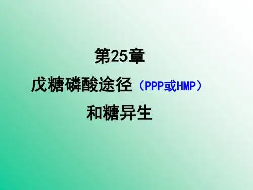 第25章磷酸戊糖途径和糖异生