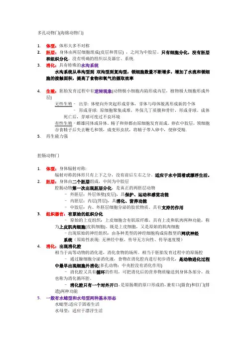 多孔动物门