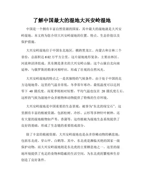 了解中国最大的湿地大兴安岭湿地