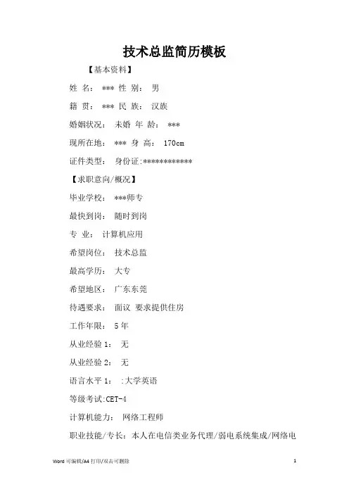 技术总监简历模板(完整版)