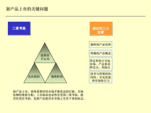 新产品上市计划PPT模板