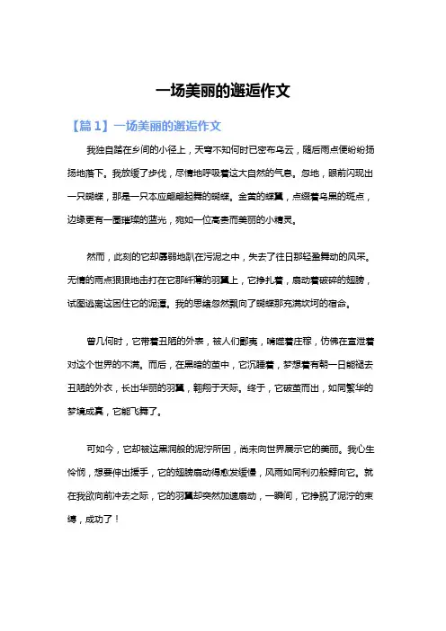 一场美丽的邂逅作文