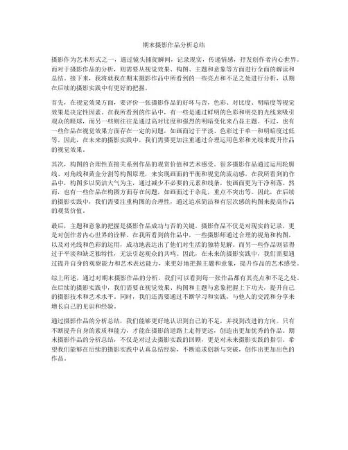 期末摄影作品分析总结