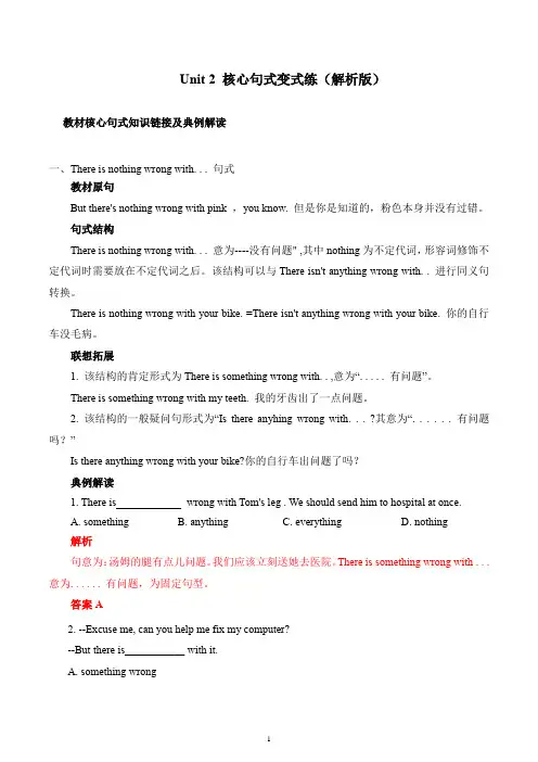 译林版英语九年级上册_Unit_2_核心句式变式练(解析版)