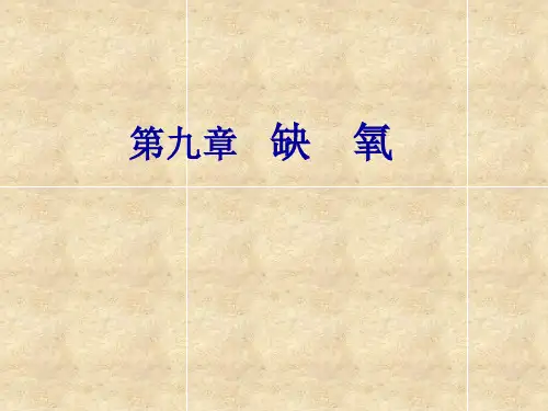 病理学基础——第九章缺氧之一