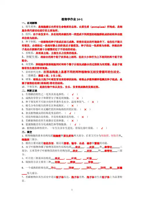 植物学作业全