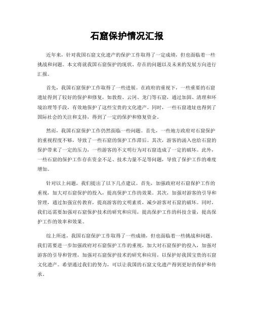 石窟保护情况汇报