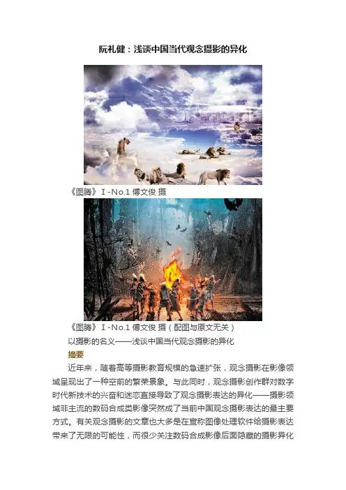 阮礼健：浅谈中国当代观念摄影的异化