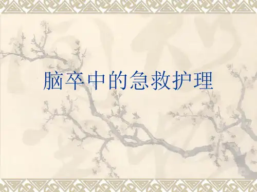 脑卒中的急救护理PPT课件