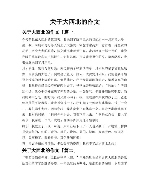 关于大西北的作文
