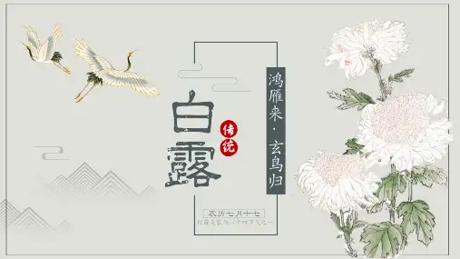 白露：二十四节气主题班会PPT课件