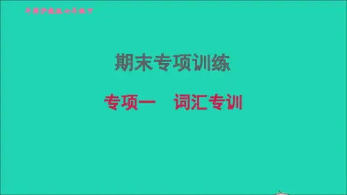 2022七年级英语下册期末专项训练一词汇专训习题课件新版牛津深圳版2022060733