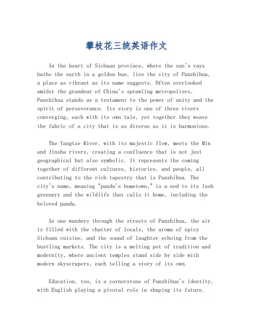 攀枝花三统英语作文