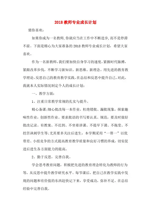 2018教师专业成长计划