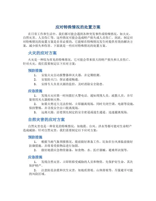 应对特殊情况的处置方案