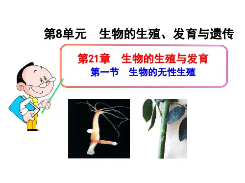 初中生物八年级下册《第一节生物的无性生殖》PPT课件(1)