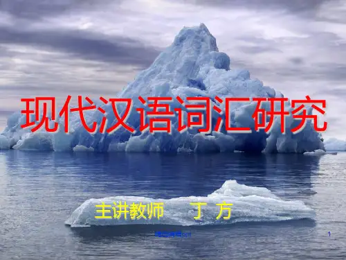 现代汉语词汇研究完整-绪论ppt课件