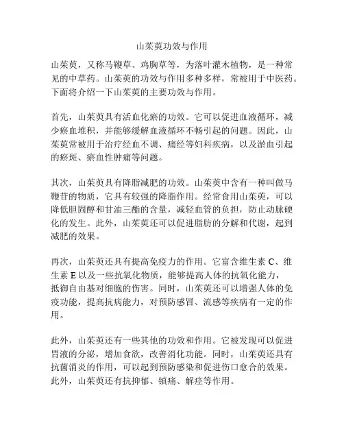 山茱萸功效与作用