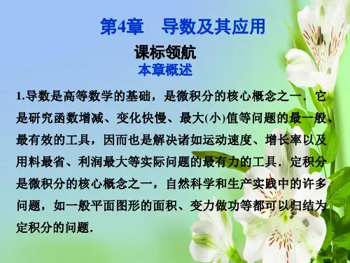 湘教版高中数学选修导数及其应用课件