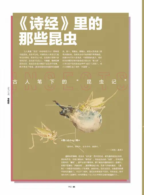 古人笔下的“昆虫记”--《诗经》里的那些昆虫
