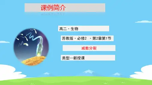 苏教版高中生物必修二第二章减数分裂课件 (共25张PPT)优秀课件