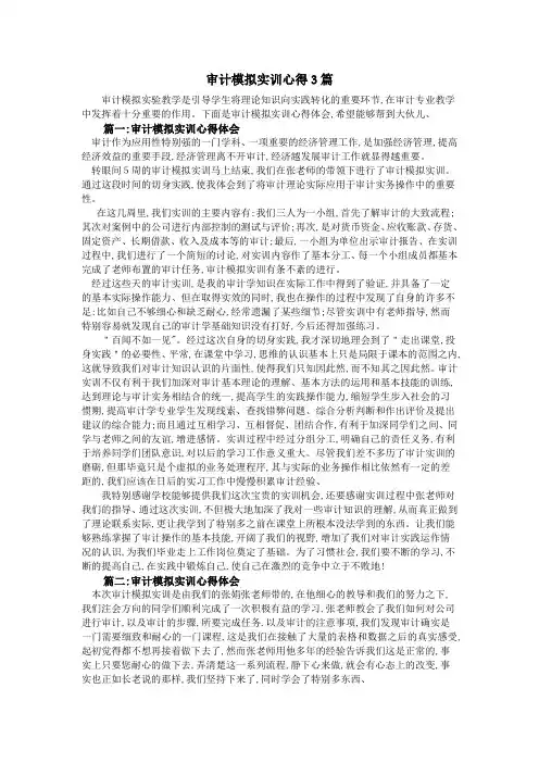 审计模拟实训心得3篇