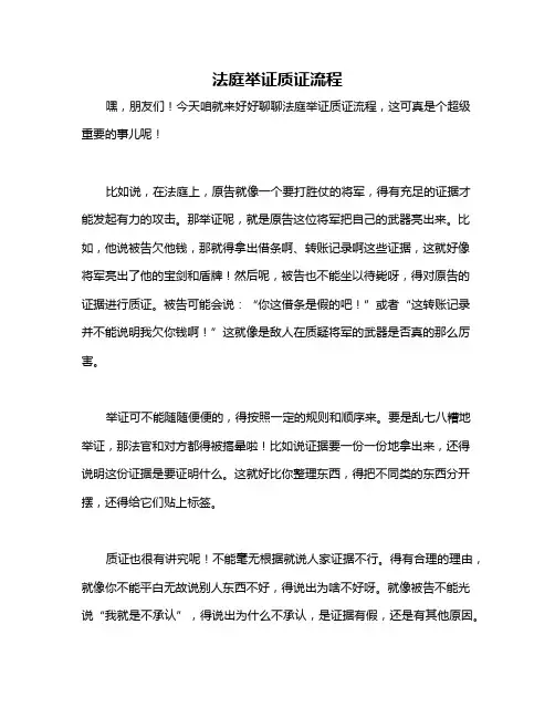 法庭举证质证流程