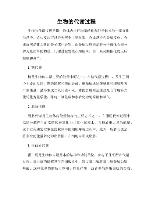 生物的代谢过程