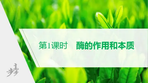 酶的作用和本质(步步高)