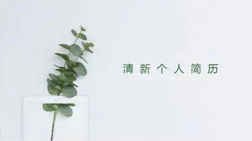 简约小清新个人应聘简历ppt模板