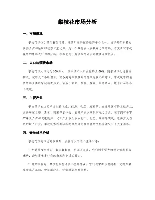 攀枝花市场分析