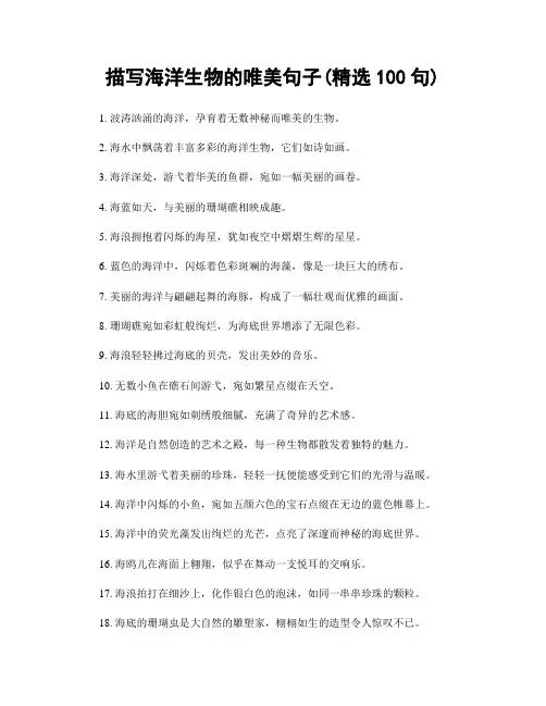 描写海洋生物的唯美句子(精选100句)