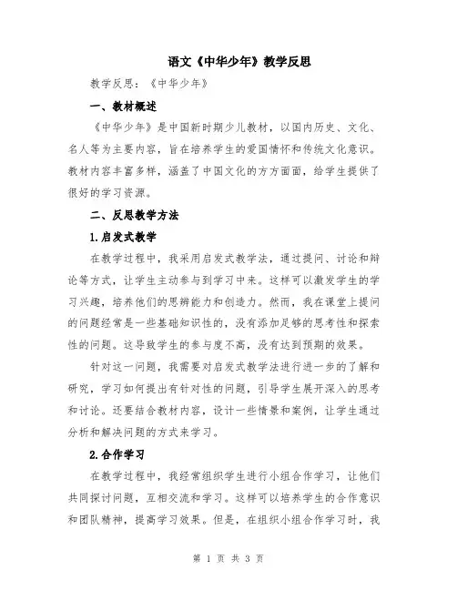 语文《中华少年》教学反思