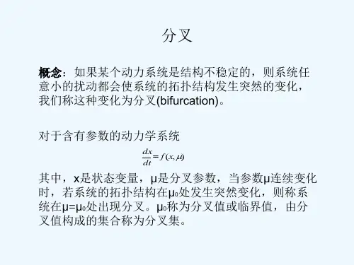 非线性系统的分叉问题.ppt