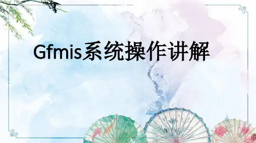 海南省政府会计核算一体化信息系统Gfmis系统操作7.24