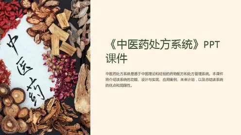 《中医药处方系统》课件