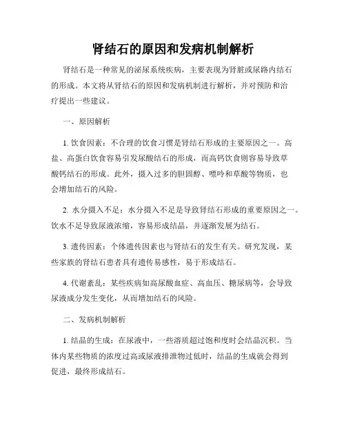 肾结石的原因和发病机制解析